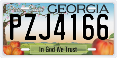 GA license plate PZJ4166