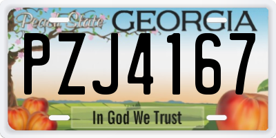 GA license plate PZJ4167