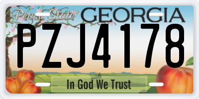 GA license plate PZJ4178