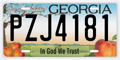 GA license plate PZJ4181