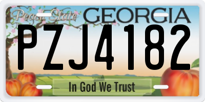 GA license plate PZJ4182