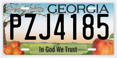 GA license plate PZJ4185