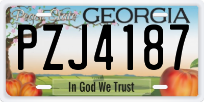 GA license plate PZJ4187