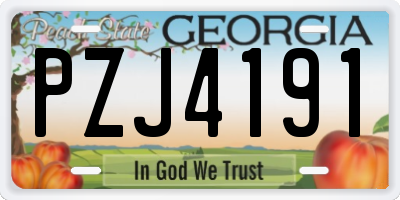 GA license plate PZJ4191