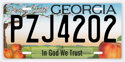 GA license plate PZJ4202