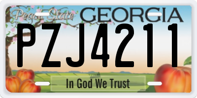 GA license plate PZJ4211