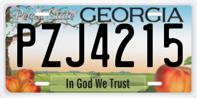 GA license plate PZJ4215