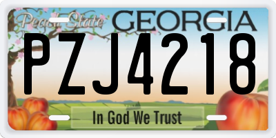 GA license plate PZJ4218