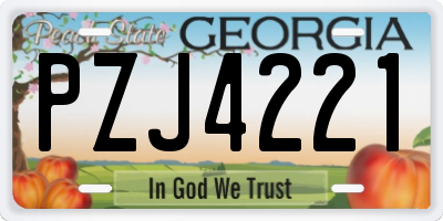 GA license plate PZJ4221