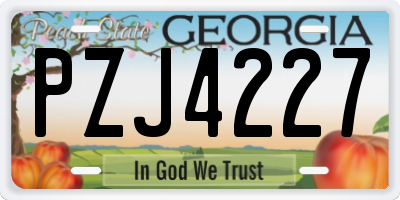 GA license plate PZJ4227