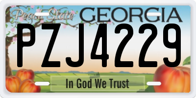 GA license plate PZJ4229