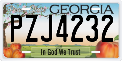 GA license plate PZJ4232