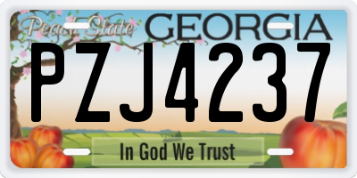 GA license plate PZJ4237