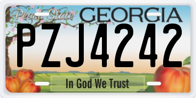 GA license plate PZJ4242