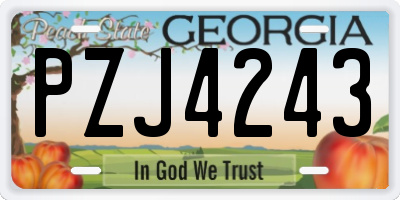 GA license plate PZJ4243