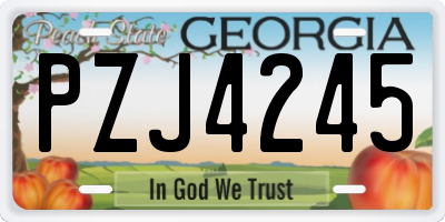 GA license plate PZJ4245