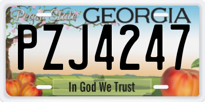 GA license plate PZJ4247