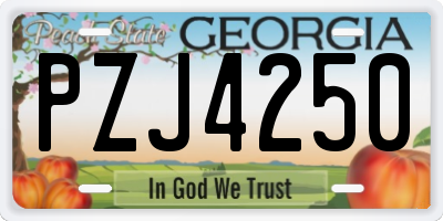 GA license plate PZJ4250