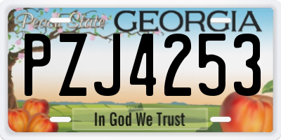 GA license plate PZJ4253