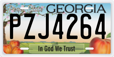 GA license plate PZJ4264