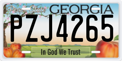 GA license plate PZJ4265