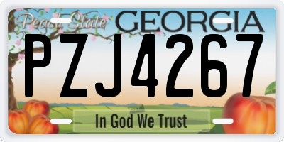 GA license plate PZJ4267