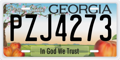 GA license plate PZJ4273