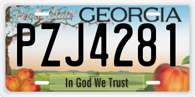 GA license plate PZJ4281