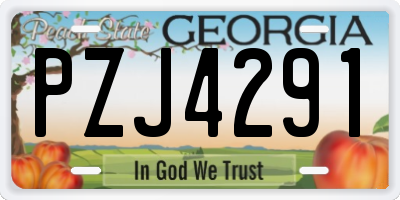 GA license plate PZJ4291