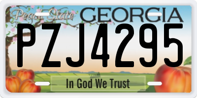 GA license plate PZJ4295