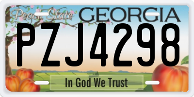 GA license plate PZJ4298