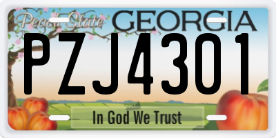 GA license plate PZJ4301