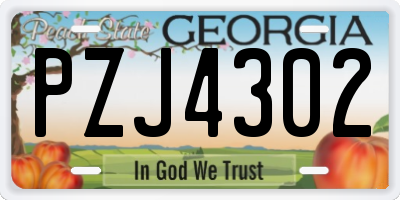 GA license plate PZJ4302