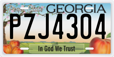 GA license plate PZJ4304