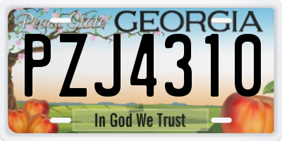 GA license plate PZJ4310