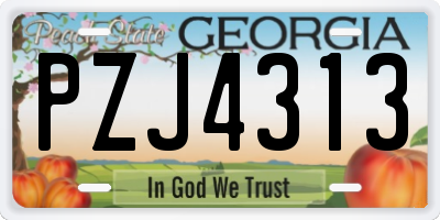 GA license plate PZJ4313