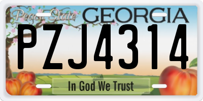 GA license plate PZJ4314