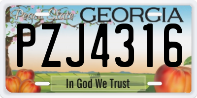 GA license plate PZJ4316