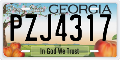 GA license plate PZJ4317