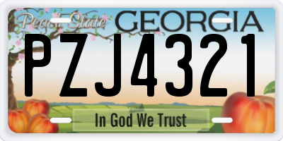 GA license plate PZJ4321