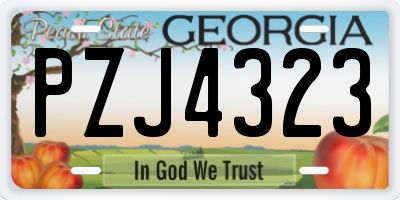 GA license plate PZJ4323