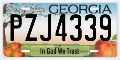GA license plate PZJ4339