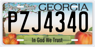 GA license plate PZJ4340