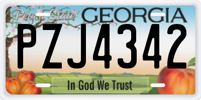GA license plate PZJ4342