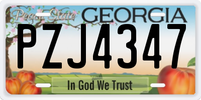GA license plate PZJ4347