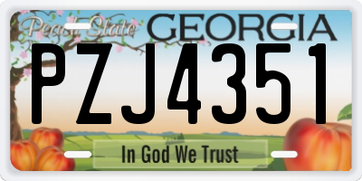 GA license plate PZJ4351