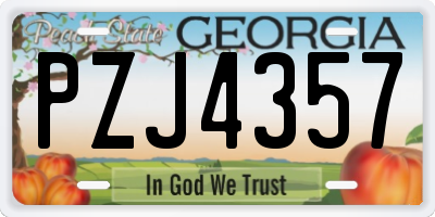 GA license plate PZJ4357