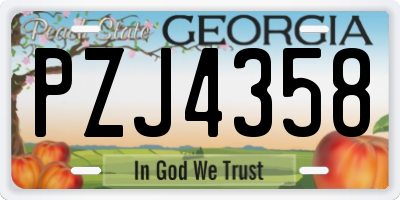 GA license plate PZJ4358
