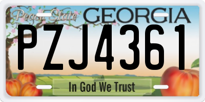 GA license plate PZJ4361
