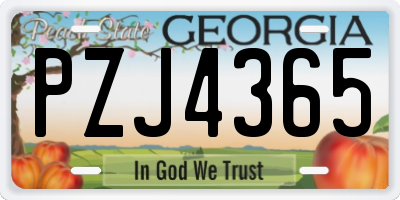 GA license plate PZJ4365